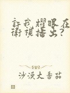 许我耀眼在哪个卫视播出?