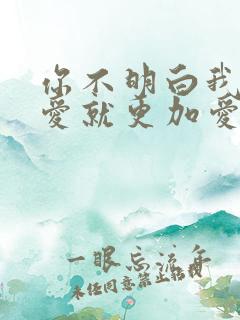 你不明白我说不爱就更加爱什么歌