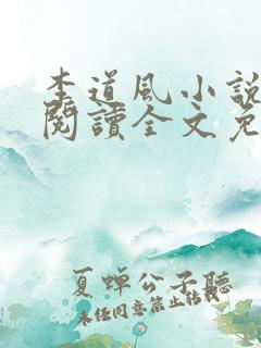李道风小说在线阅读全文免费无弹窗