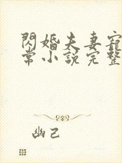 闪婚夫妻宠娃日常小说完整版