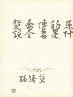 楚乔传的原著小说全名是什么啊