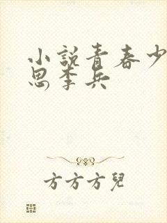 小说青春少年沈思李兵