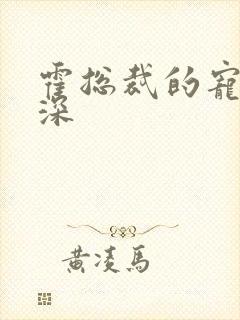 霍总裁的宠妻情深