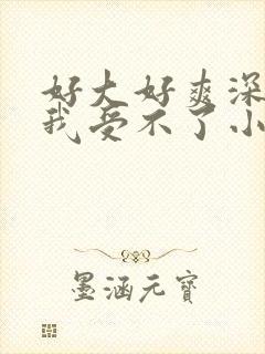 好大好爽深一点我受不了小说