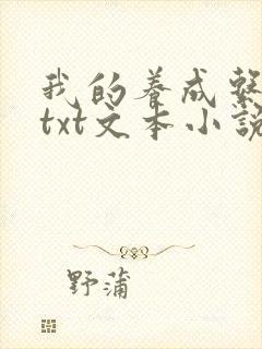 我的养成系女友txt文本小说