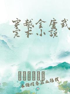 穿越金庸武侠的完本小说