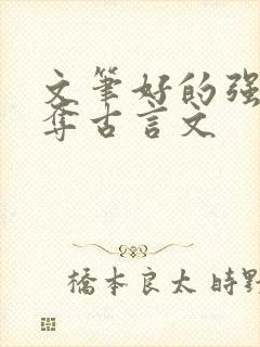 文笔好的强取豪夺古言文