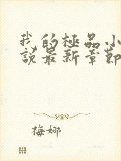 我的极品小姨小说最新章节下载