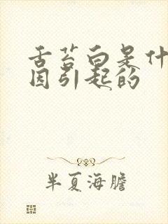 舌苔白是什么原因引起的