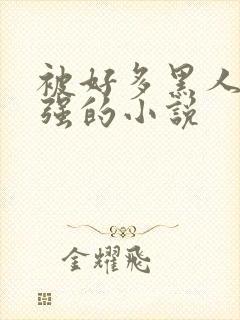 被好多黑人一启强的小说