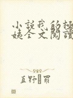 小说我的极品小姨全文阅读