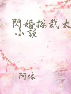 闪婚总裁太霸道 小说