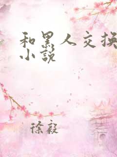 和黑人交换女友小说