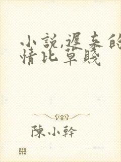 小说,迟来的深情比草贱