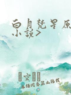 白月梵星原著〈小说>