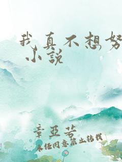 我真不想努力了 小说