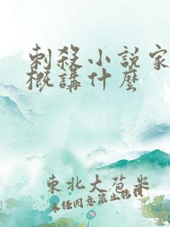 刺杀小说家1大概讲什么