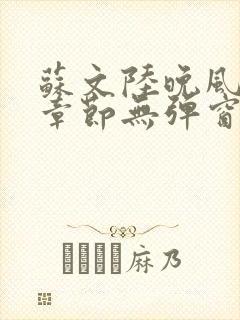 苏文陆晚风最新章节无弹窗笔趣阁