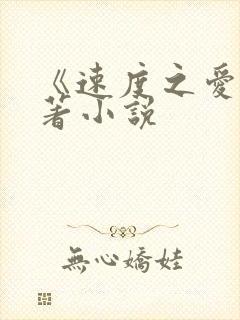 《速度之爱》原著小说