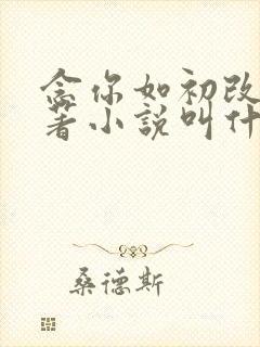 念你如初改编原著小说叫什么