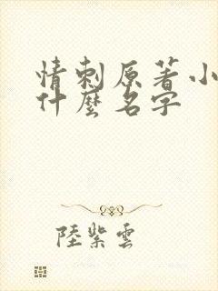 情刺原著小说叫什么名字