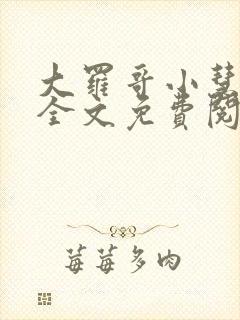 大罗哥小慧小说全文免费阅读