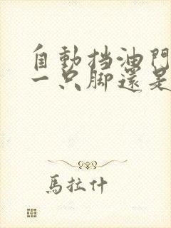 自动挡油门刹车一只脚还是两只脚踩