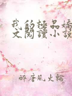 我的极品娇妻全文阅读小说