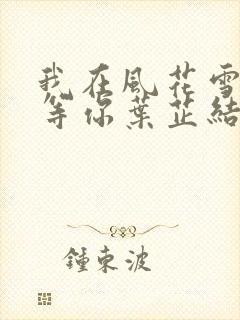 我在风花雪月里等你叶芷结局