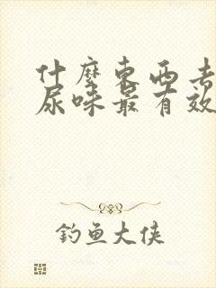 什么东西去老鼠尿味最有效