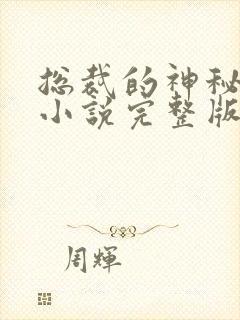 总裁的神秘甜妻小说完整版本