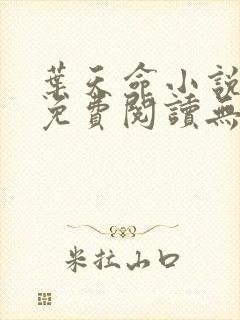 叶天命小说全文免费阅读无弹窗最新章节