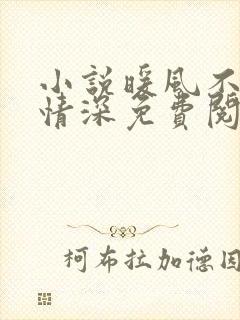 小说暖风不及你情深免费阅读