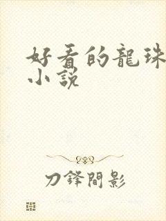 好看的龙珠同人小说