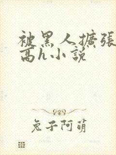 被黑人扩张残虐高h小说