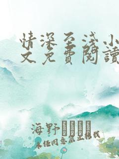 情深至浅小说全文免费阅读