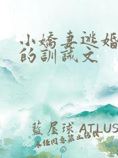 小娇妻逃婚被罚的训诫文