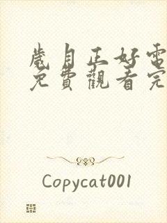 岁月正好电视剧免费观看完整版高清