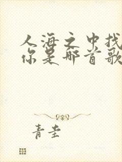 人海之中找到了你是哪首歌的歌词