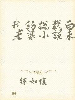 我的总裁白富美老婆小说未删减在线看