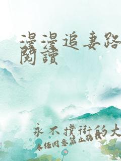 漫漫追妻路在线阅读