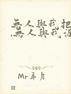 无人与我把酒分,无人与我渡红尘是什么歌