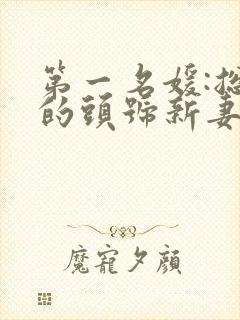 第一名媛:总裁的头号新妻