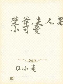 裴爷,夫人是个小可爱