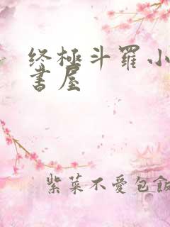 终极斗罗小说小书屋