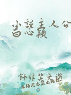 小说主人公李泽白心颖