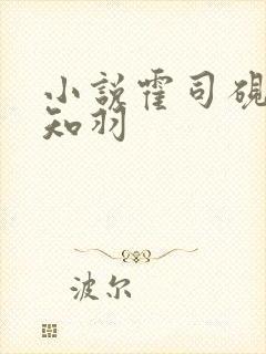 小说霍司砚与温知羽