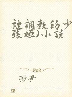 被调教的少妇(张娅)小说