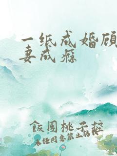 一纸成婚顾少宠妻成瘾