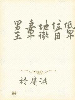 男妻地位低下男主卑微自卑的小说